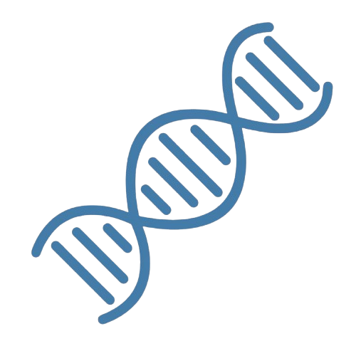 DNA Helix BG Dr. Dane Buxbaum N.D. PLLC logo which is an image of a brain.